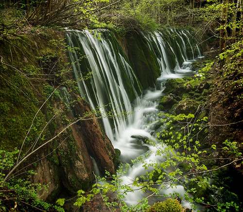 naturaleza verde green agua selva grün paraiso cascadas зеленый グリーン stocksphotography wasserfällen latierraunparaiso