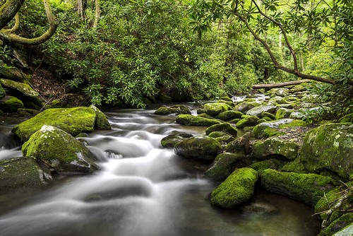 water creek rocks branch tn gatlinburg