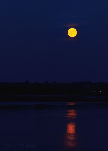 moon lowresolution cropped grouptags wng allrightsreserved©drgnmastrpjg canadianlife rawjpg ©pjgergelyallrightsreserved