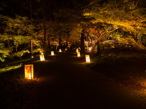 japan illumination saitamaprefecture япония иллюминация hikigun lumixgh3