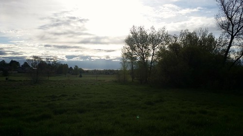 #tommw 50F calm. Mostly cloudy