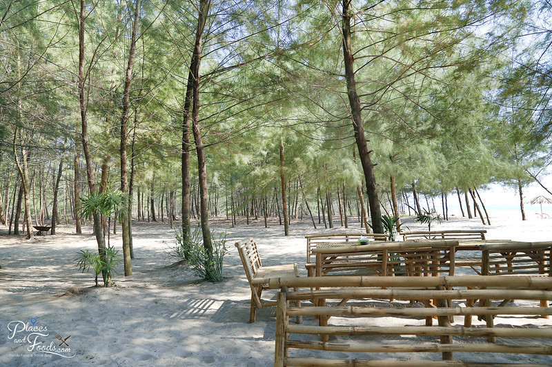 ko kho khao hula beach pine trees with white sand