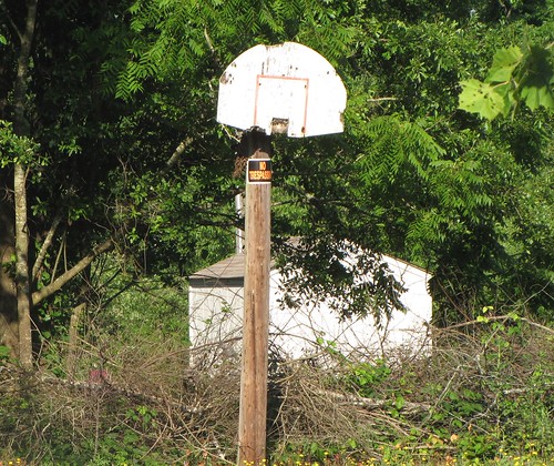 cedarcreekroad cedarcreek cumberlandcounty northcarolina northcarolinahighway53 ruralsouth rural country basketballhoop basketball abandoned forgotten notrespassing