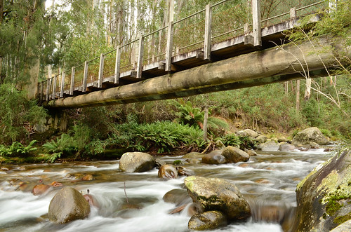 bridge winter forest river bush nikon rocks australia victoria alpine vic lichen ferns pedestrianbridge kiewariver northeastvictoria kiewavalley timberbridge d5100 nikond5100 phunnyfotos
