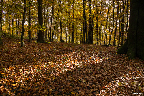 nature germany landscape places meschede sauerland arnsbergerwald fujixe1 fujinonfx1855mm