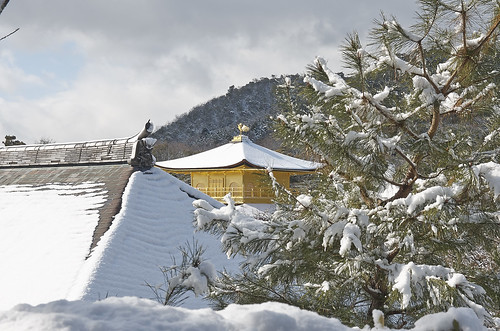 【写真】2014 雪 : 金閣寺/2020-07-05/IMGP4954