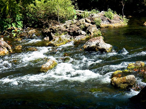 park nature river outdoors florida hiking adventure outdoorsy hillsboroughriver outdoorsytv