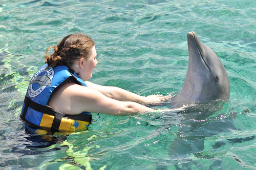 Dolphin Push Pull and Swim
