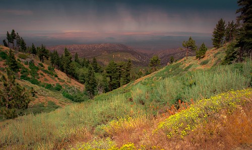 california flowers summer mountains color clouds forest landscape desert backgrounds angelesnatlforest