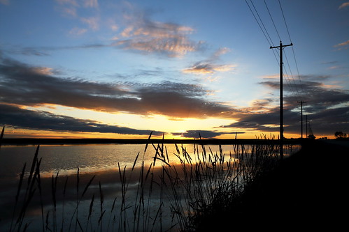 grass silhouette pond prairie telephonepole sunrisecalgary