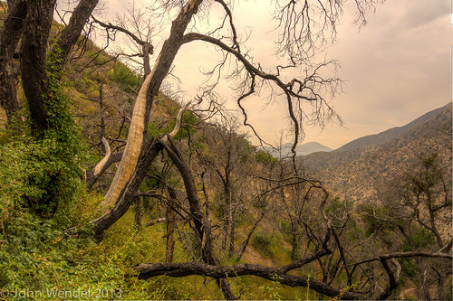 california san unitedstates hiking gabriels altadena sunsetridge chaneytrail