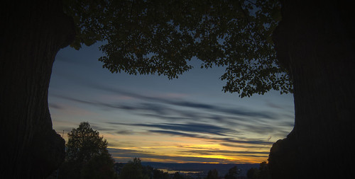 city trees sunset sky oslo night landscapes skies hdr