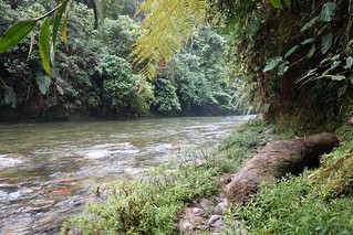 Parque Nacional Podocarpus