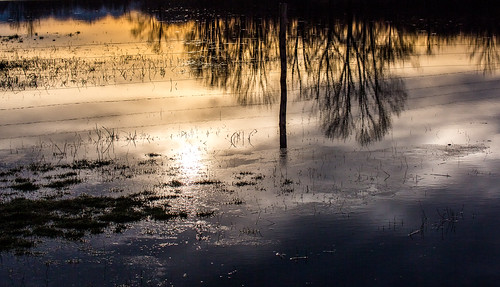 morning lake reflection nature water sunrise flood karst cerknica