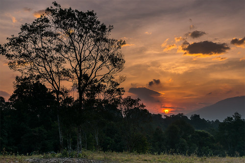 sunrise landscape thailand nationalpark khaoyai khaoyainationalpark