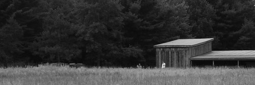 field barn landscape photo photoshoot michigan meadow photowalk cnc midland labordayweekend earlyseptember outbuilding dayhike chippewanaturecenter midlandcounty