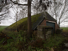 Old shed / Oude schuur