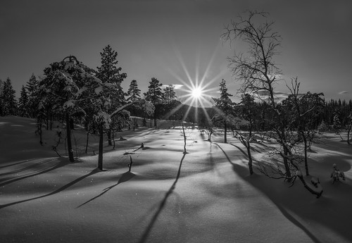 winter sunset bw snow nature oslo norway forest mono soft shadows silk powder untouched nordmarka sonya6000
