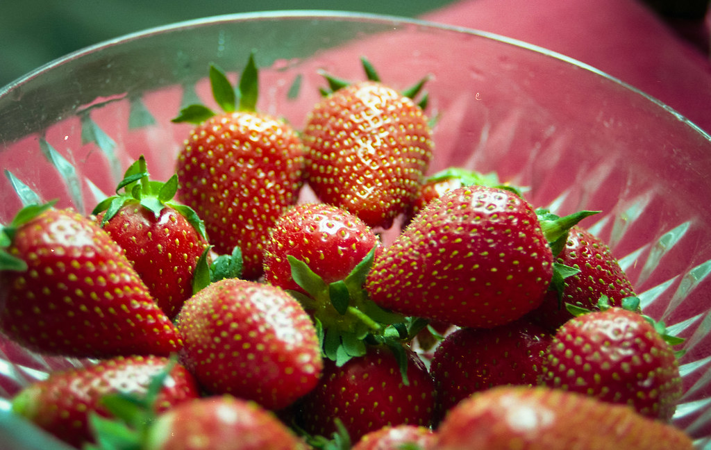 Les fraises de Plougastel