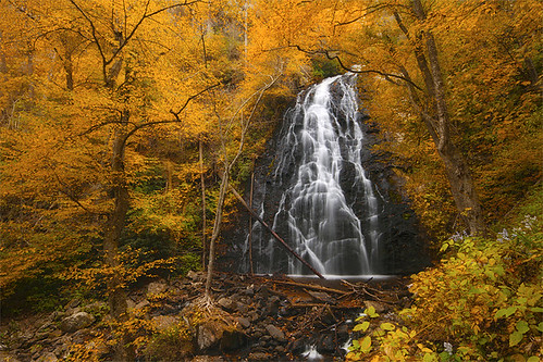 travel flowers autumn trees mountain tree fall nature water colors leaves yellow canon landscape golden waterfall leaf nc long exposure seasonal conservation crab northcarolina falls foliage explore will change environment tranquil blueridgeparkway crabtreefalls shieh lightvision