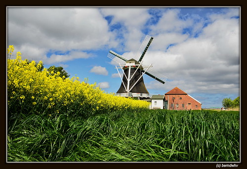 deutschland windmills ostfriesland neuharlingersiel molens niedersachsen windmühlen mühlen landkreiswittmund seriemermühle