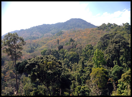 Green Hills in Phang Nga
