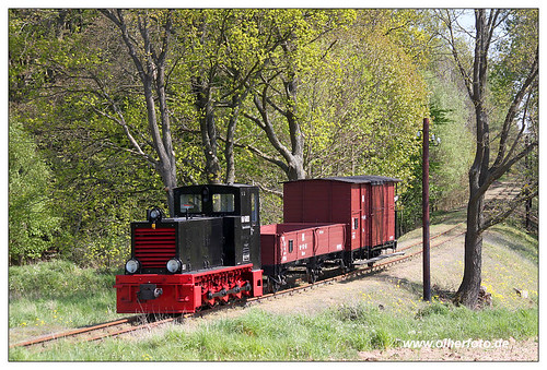 railroad train eisenbahn rail railway trains pollo bahn narrowgauge prignitz diesellok schmalspurbahn museumsbahn kisvasut heeresfeldbahn heeresfeldbahnlok heeresfeldbahnlokomotive