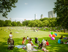Sheep Meadow - Central Park