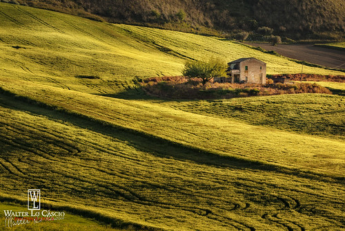 house verde primavera tramonto country campagna luce sicilia casolare grano rurale caltanissetta walterlocascio campagnanissena