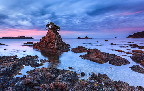 sunset newzealand seascape neuseeland pohutukawa taurangabay