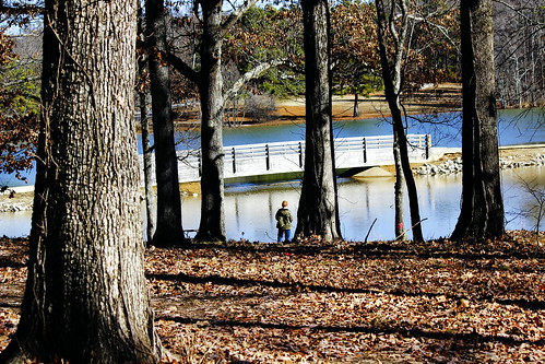 winter lake nature arkansas jonesboro