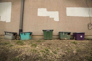 Feral cat caretaker colony, CoMo,   Matt Schacht