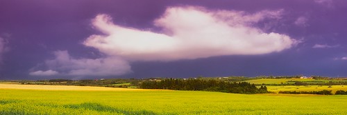 sky cloud storm field colza