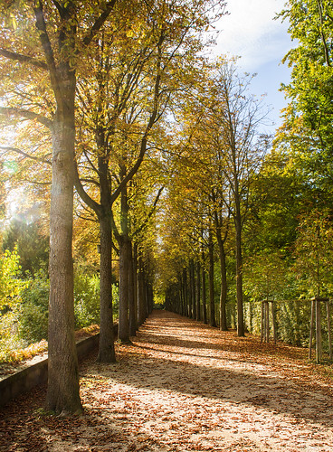autumn herbst schlosspark schwetzingen