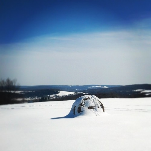 winter snow square lofi farmland squareformat haybale iphoneography instagramapp uploaded:by=instagram foursquare:venue=4ef7203fa69dea74fa80cc71