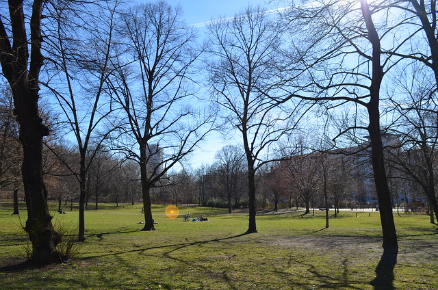 Volkspark Friedrichshain Berlin_park grass trees and blue sky