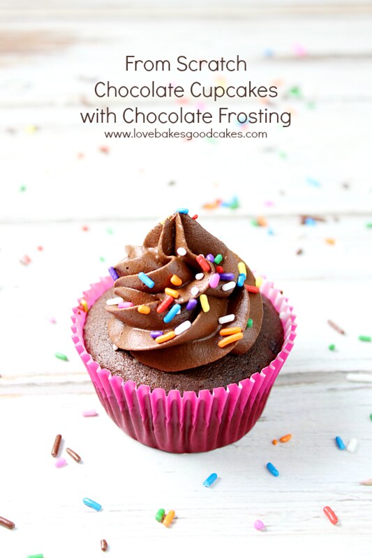 From-Scratch Chocolate Cupcakes with Chocolate Frosting with rainbow sprinkles.