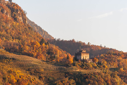 autumn trees sunset italy mountain castle fall alberi canon golden italia hills foliage vineyards hour autunno alto castello montagna trentino merano adige