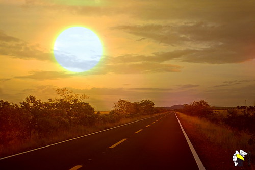 brazil sol brasil amazon estrada horizonte roraima amazonia lavrado