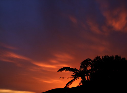 sunset newzealand orange clouds spring wellington silverfern fujifilmfinepixs100fs