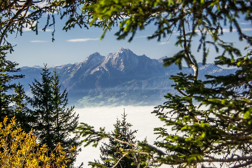 autumn panorama sun mountain mountains nature berg fog schweiz switzerland leaf nebel view suisse suiza fenster sony herbst foggy berge mount pilatus suíça aussicht svizzera wald ausblick switserland 瑞士 zwitserland isviçre svizra szwajcaria neblig švýcarsko سويسرا швейцария a580 ελβετία შვეიცარია ประเทศสวิสเซอร์แลนด์ švice