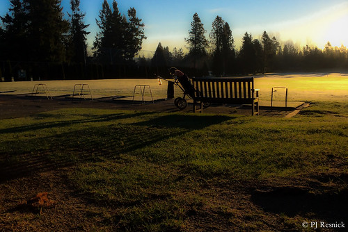 pjresnick perryjresnick ©pjresnick contrast digital iphone light shadow appleiphone black sky apple silhouette shadows phonecamera pnw pacificnorthwest drama iphone5s 5s rectangle rectangular phoneography resnick green golf drivingrange golfclubs fairwoodgolfandcountryclub newyearsday january12015 1115 wintergolf bench fence grass turf sunrise morning oddsandends outdoor serene field landscape pjresnickgmailcom pjresnickphotographygmailcom