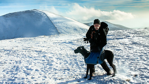 snow mountains weather hiking down greatdane betsy northernireland mournemountains countydown slieve mournes slievecommedagh bearnagh slievedonard commedagh theharesgap