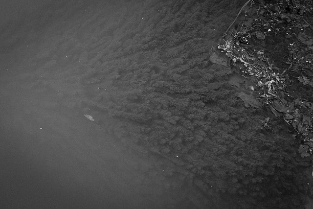 26.12.2014 Textures in the Water