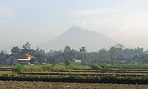 travel rural indonesia landscape volcano java asia southeastasia village farm farming fields yogyakarta merapi active activevolcano centraljava