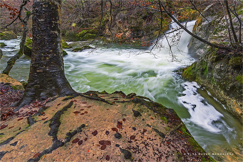 naturaleza rio agua paisaje otoño sendero navarra baquedano fuerza urederra pitusa2 elsabustomagdalena