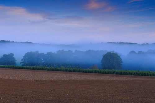 morning mist field sunrise germany rheinlandpfalz esch ahrtal