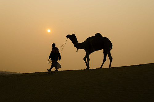 silhouette sunrise dawn shepherd walk camel jaisalmer rajasthan jaisa samsanddunes rajeshvijayarajan rajeshvijayarajanphotography rajeshvj