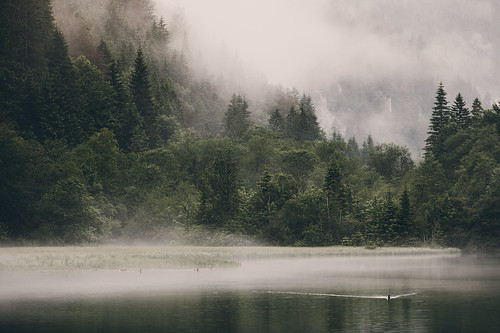 morning mist mountain lake water fog forest swim sunrise canon austria duck woods day au styria 135l turnau grünersee 5d3