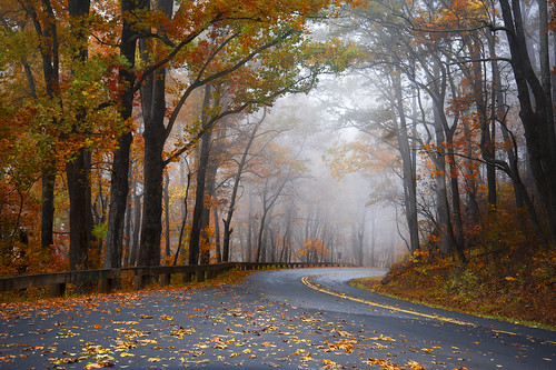 morning blue autumn mist mountains color fall beautiful yellow misty fog nc nikon colorful asheville foggy northcarolina foliage ridge parkway nikkor overlook